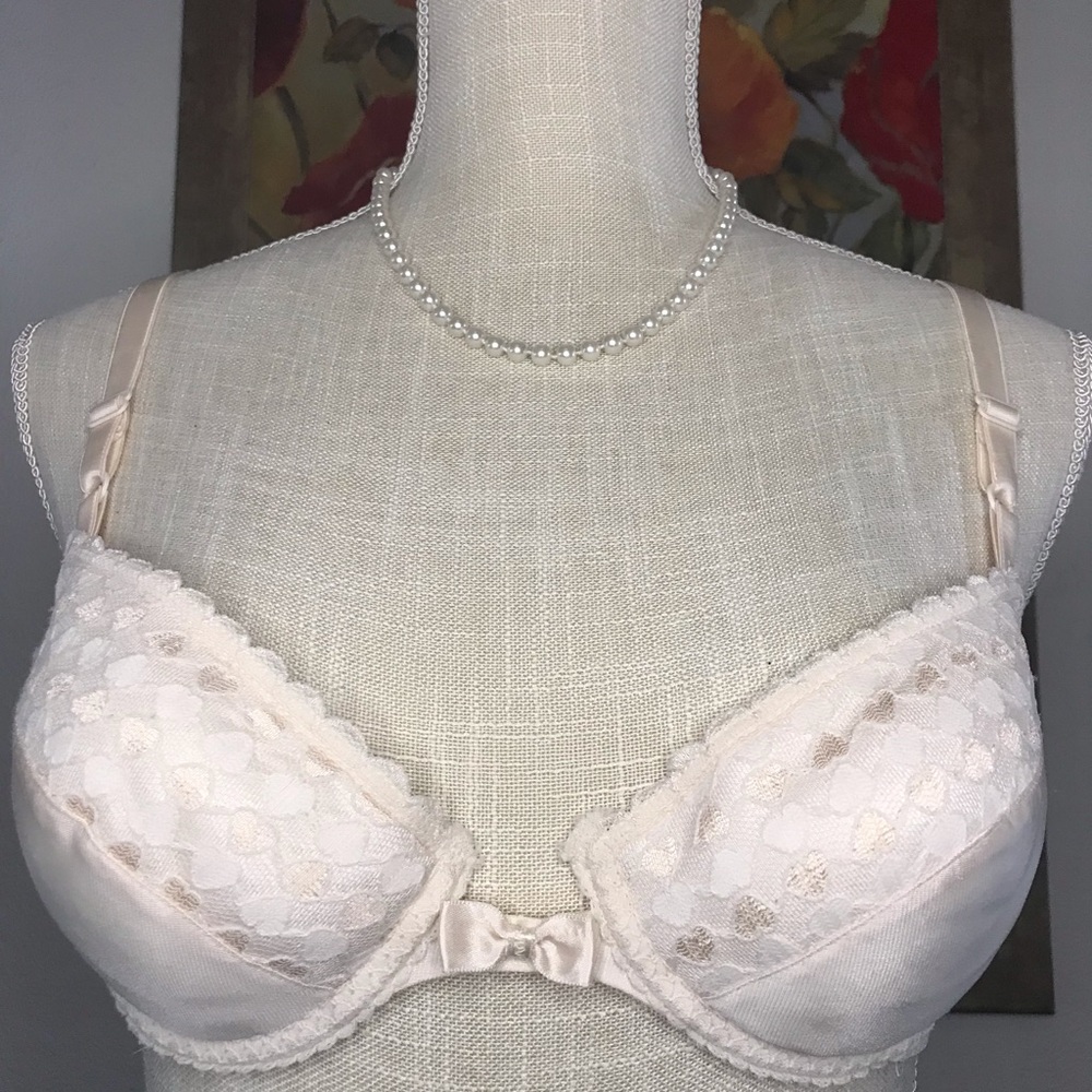 36B Cabernet Underwire Bra